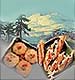 Winter Special